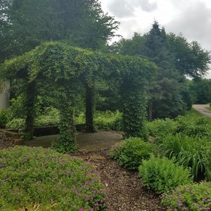 Meet your Posher, Becca